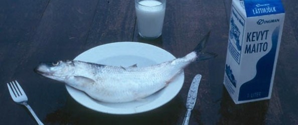 fish+and+milk+881
