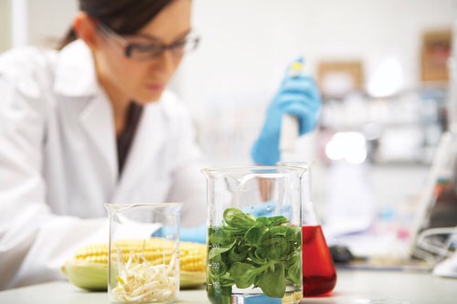 How you know you're a food scientist |Science Meets Food