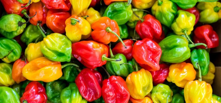 Spicy Peppers
