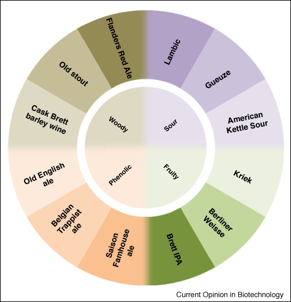 The Science Of Sour Beer Uncategorized Science Meets Food 