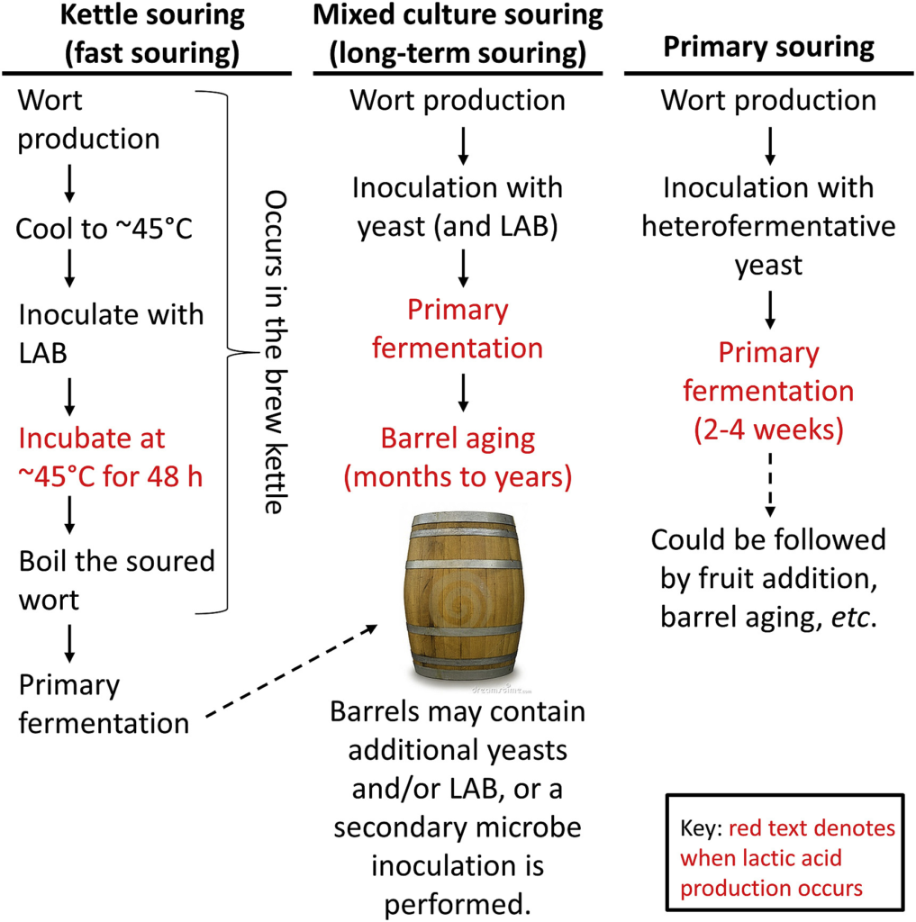The Science of Sour Beer | Uncategorized |Science Meets Food