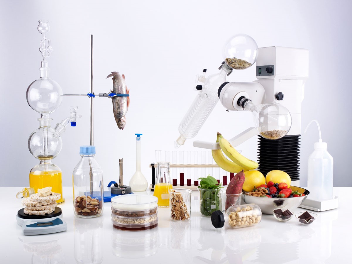 Six Reasons Why You Should Study Food Science Version 2 0 Career Development Science Meets