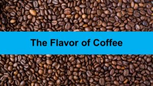 The Flavor of Coffee